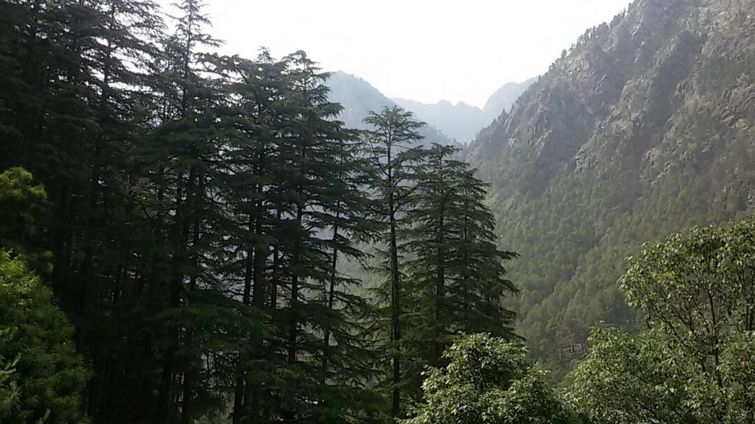 Hotel Deep Forest Kasol Esterno foto